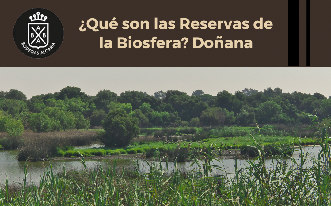 ¿Qué son las Reservas de la Biosfera? Doñana